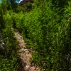 neon-fence-canyon-golden-cathedral-escalante-canyoneering-rappelling-tracy-lee-255
