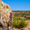 neon-fence-canyon-golden-cathedral-escalante-canyoneering-rappelling-tracy-lee-271