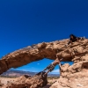 neon-fence-canyon-golden-cathedral-escalante-canyoneering-rappelling-tracy-lee-294