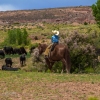 neon-fence-canyon-golden-cathedral-escalante-canyoneering-rappelling-tracy-lee-298