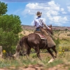 neon-fence-canyon-golden-cathedral-escalante-canyoneering-rappelling-tracy-lee-300
